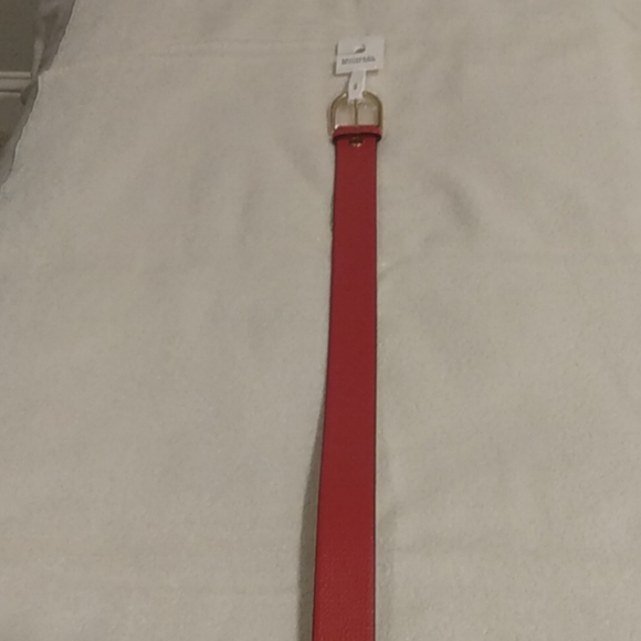 Belt - Picture 2 of 4